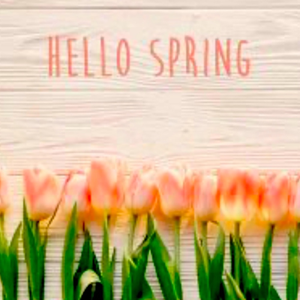 Spring is here ! New items have arrived